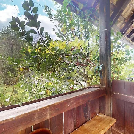 Le Bois Dormant 2 Apartment Rimbach-pres-Masevaux